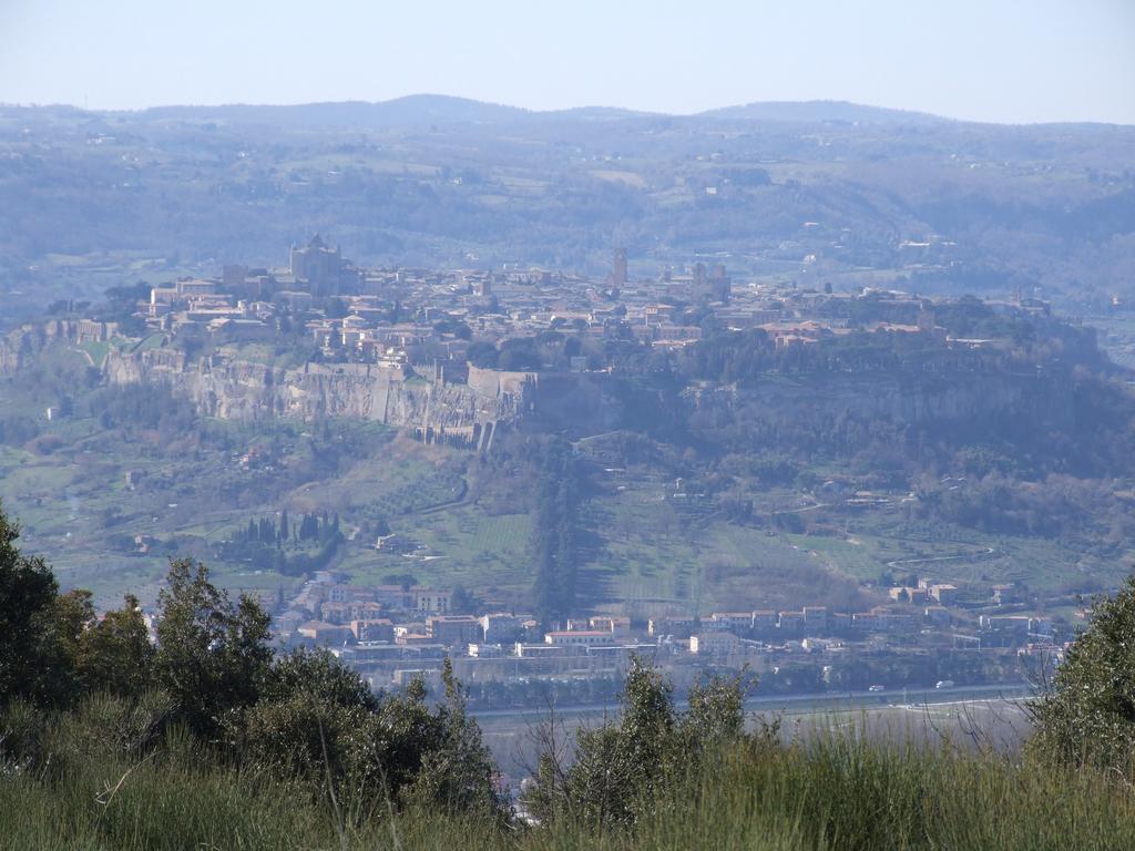 Agriturismo Fattoria Poggio Boalaio Orvieto Exteriér fotografie