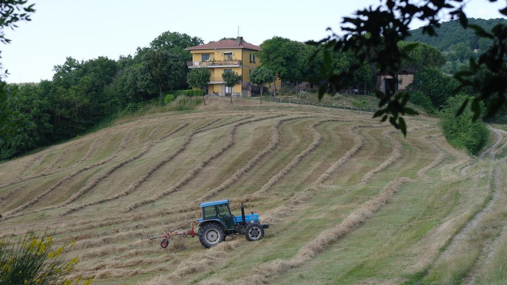 Agriturismo Fattoria Poggio Boalaio Orvieto Exteriér fotografie