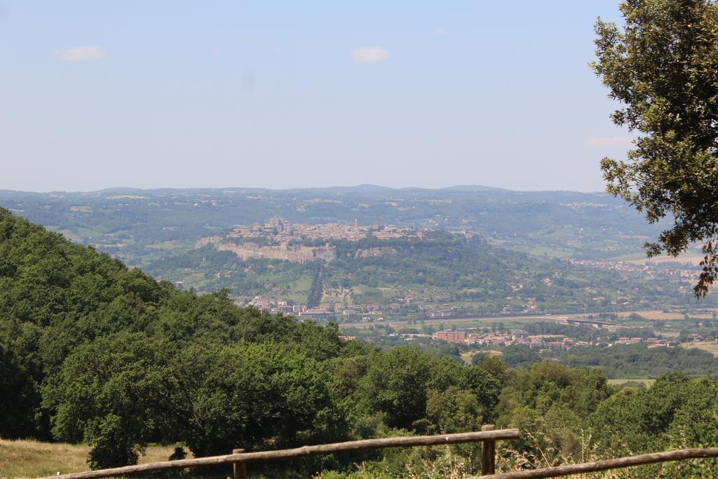 Agriturismo Fattoria Poggio Boalaio Orvieto Exteriér fotografie