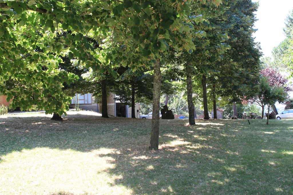 Agriturismo Fattoria Poggio Boalaio Orvieto Exteriér fotografie
